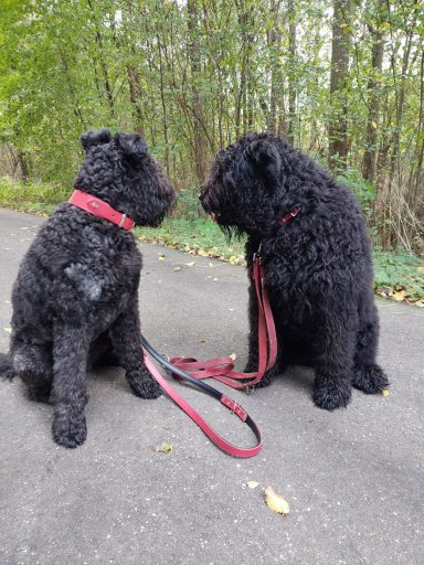 samen met zusje Indy