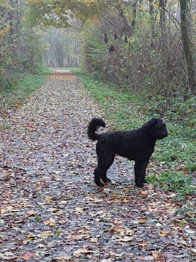 lekker lopen